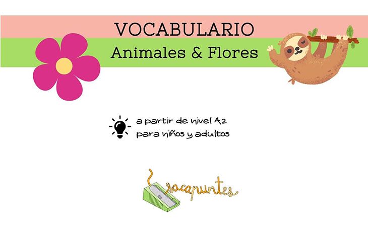 Animales y Flores (Infografía)
