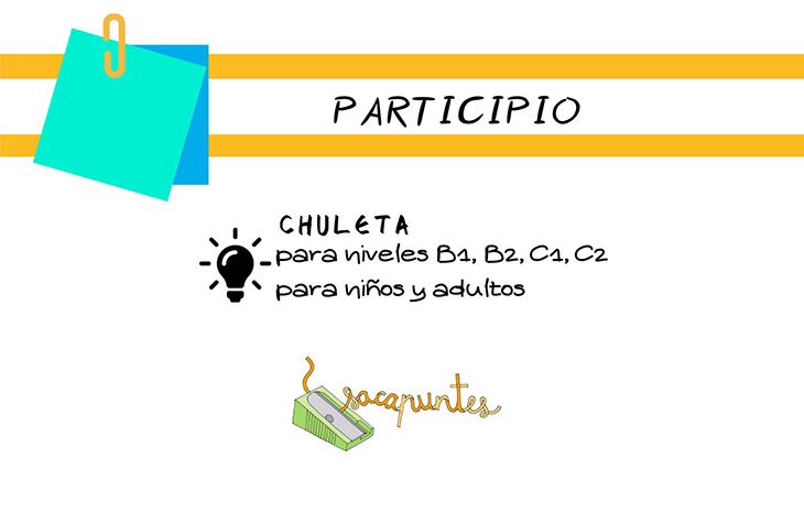 Participio (Chuleta)