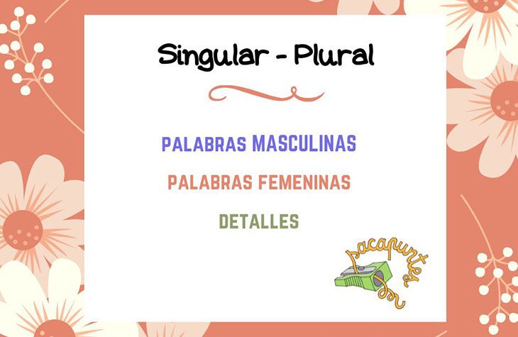 Sustantivos: singular-plural